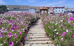 老公吃我的奶奶该怎么回应他呢